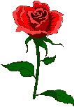 flor.gif (2419 bytes)